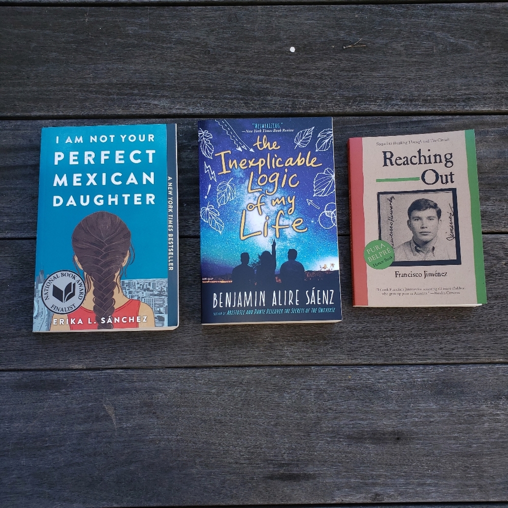 NEW 3 Young Adult Reading Book Bundle